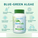 troya-sani-cells-afa-blue-green-algae-ca-2.jpg
