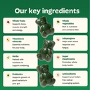 gruns-adult-kids-superfood-green-bundle--3.jpg