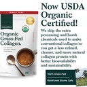 natural-force-organic-clean-collagen-pep-3.jpg