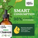 wild-organic-cleavers-lymphatic-drainage-4.jpg