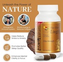 vita-green-lingzhi-mushroom-supplement-p-2.jpg