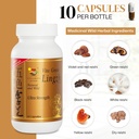 vita-green-lingzhi-mushroom-supplement-p-5.jpg