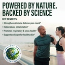 daily-immunity-capsules-quercetin-reishi-3.jpg