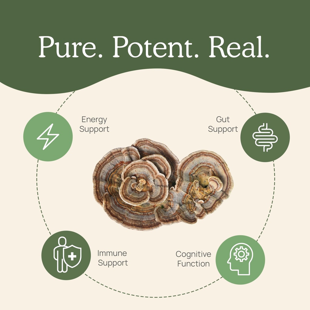real-mushrooms-turkey-tail-capsules-orga-5.jpg