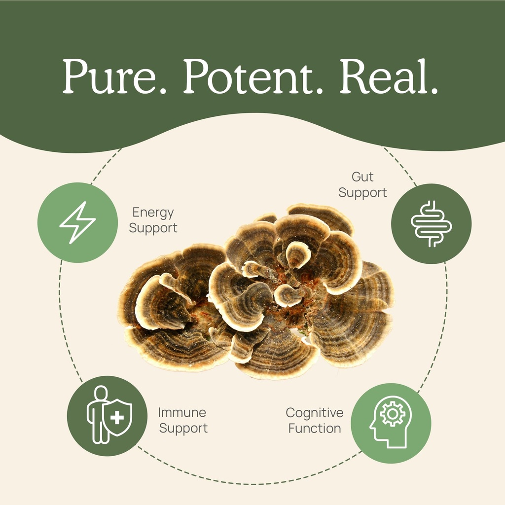 real-mushrooms-turkey-tail-for-humans-pe-4.jpg