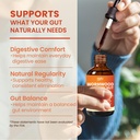 black-walnut-wormwood-parasite-cleanse-w-2.jpg