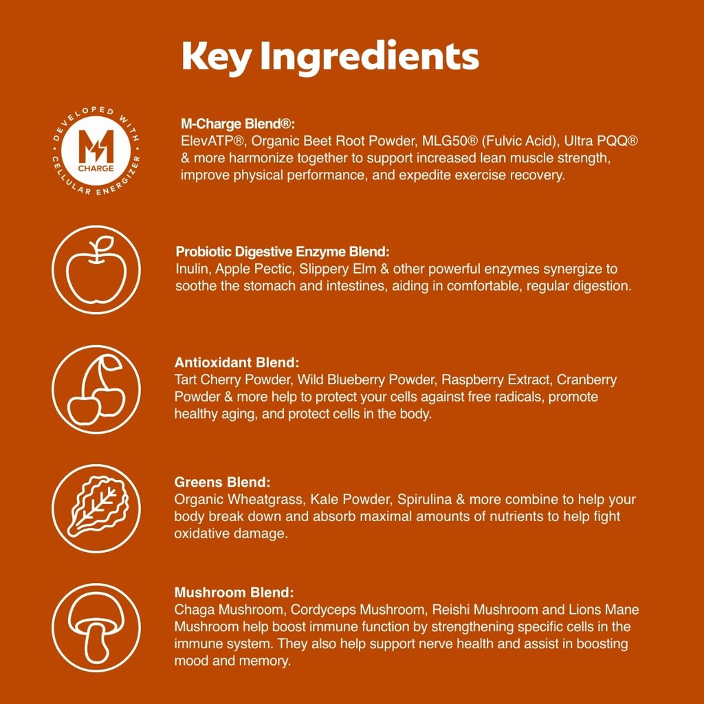 l-evate-you-vitality-daily-greens-powder-3.jpg