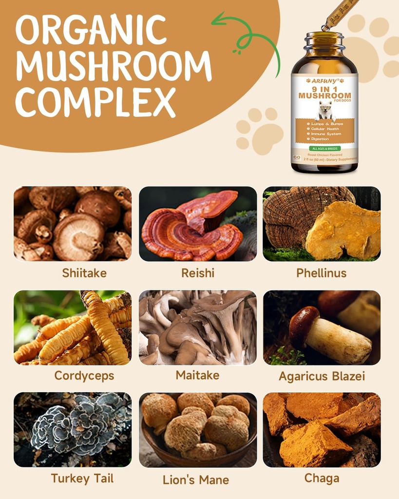 9-in-1-dog-mushroom-powder-drops-3.jpg