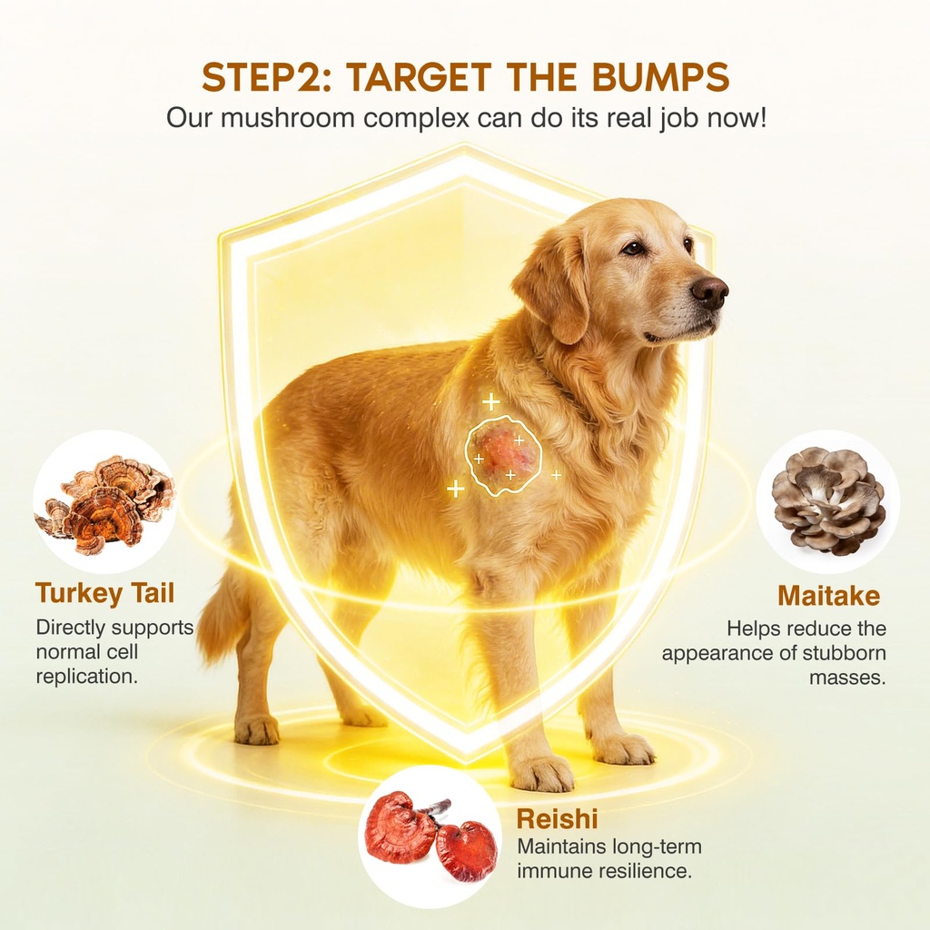 turkey-tail-mushroom-for-dogs-senior-dog-4.jpg