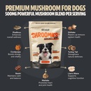 freshcap-mushrooms-shroomies-13-in-1-tur-2.jpg