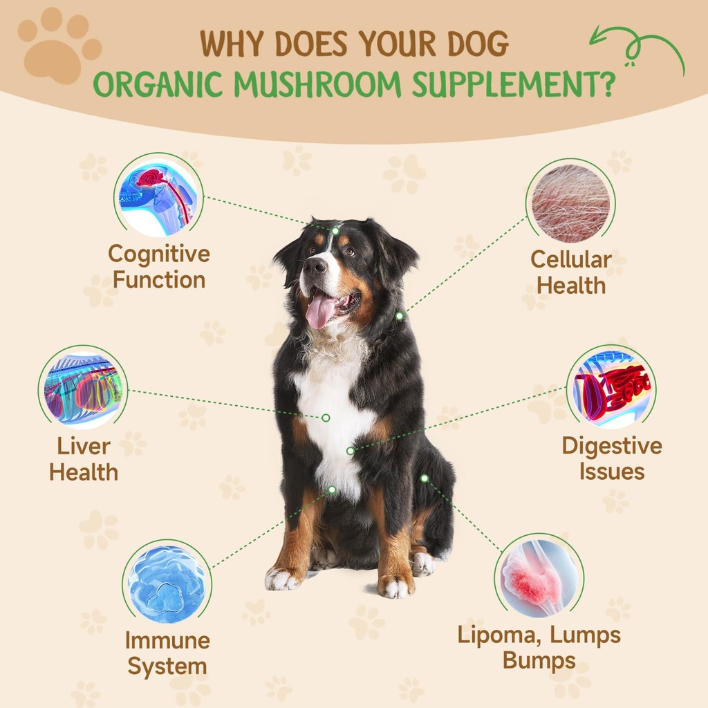 9-in-1-mushroom-supplement-for-dogs-turk-2.jpg