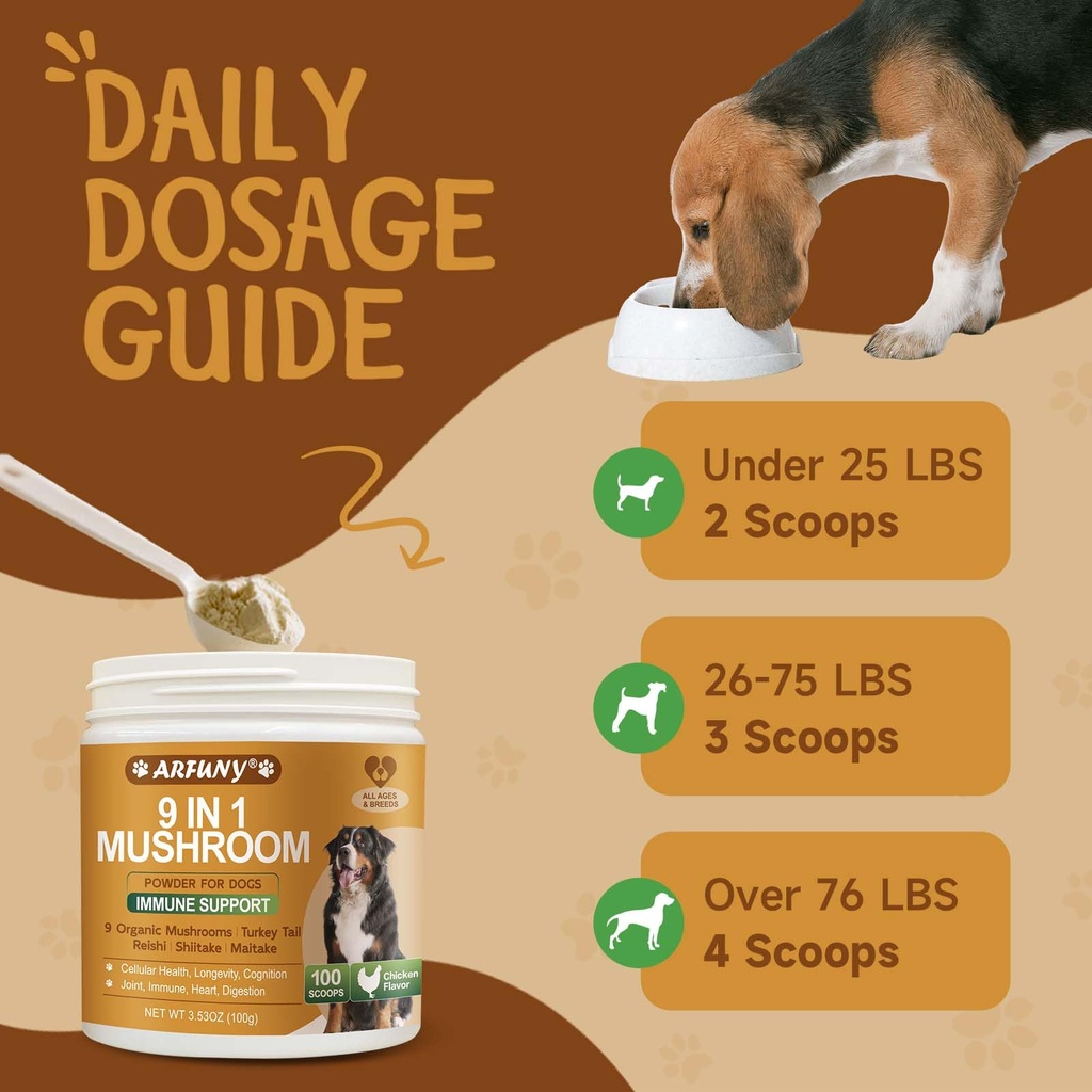 mushroom-for-dogs-turkey-tail-for-dogs-9-6.jpg