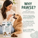 pawse-mighty-mushroom-chews-supplement-f-4.jpg