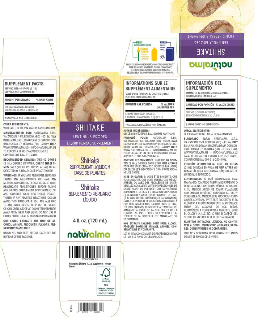 naturalma-shiitake-lentinula-edodes-fung-2.jpg