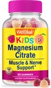 wellyeah-vitamin-c-kids-magnesium-citrat-3.jpg