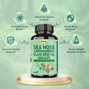 sea-moss-ashwagandha-shilajit-black-seed-4.jpg