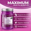 wellness-labsrx-irish-sea-moss-gel-raw-w-5.jpg