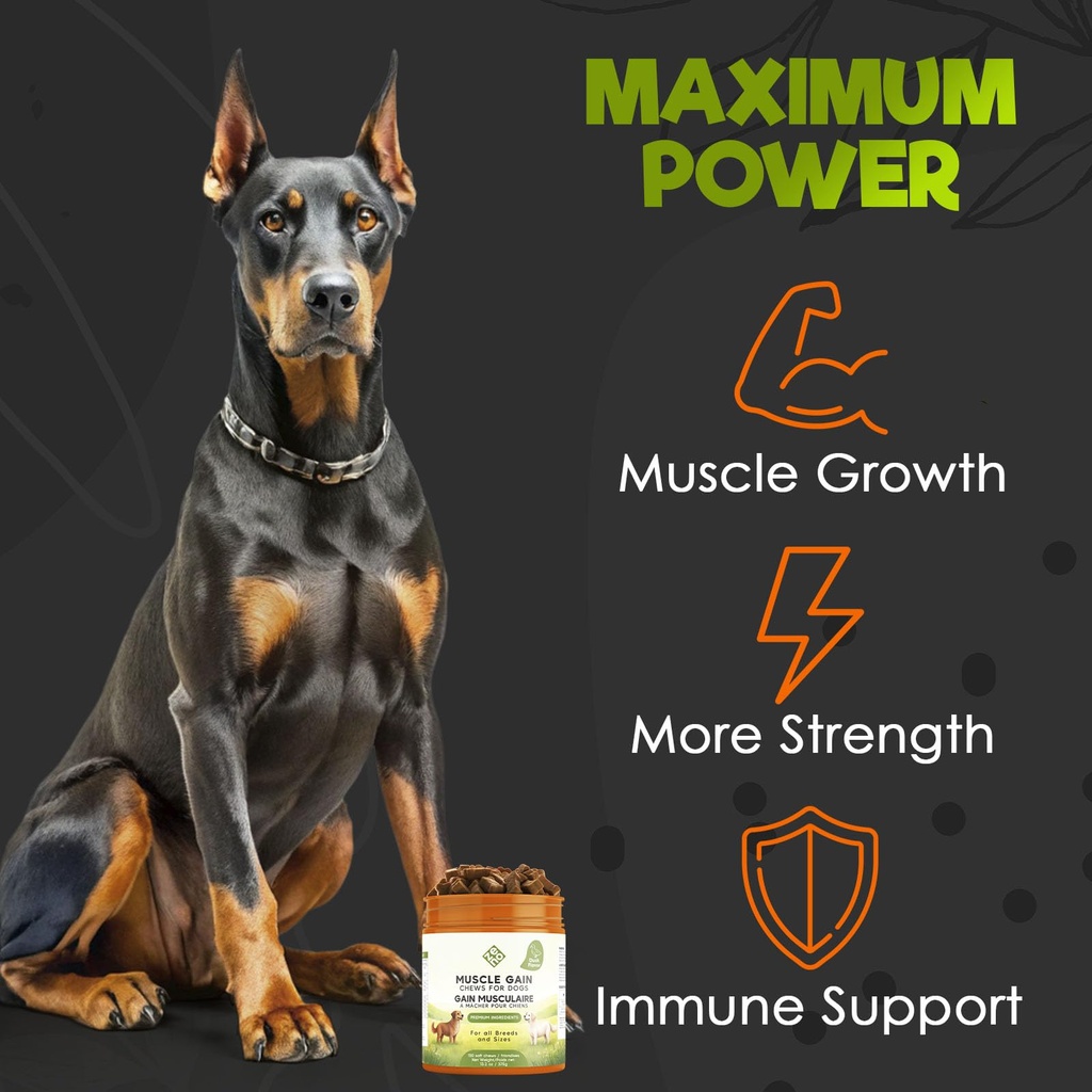 zeno-11-in-1-muscle-gain-chews-weight-ga-2.jpg