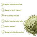 unleash-d-organic-pumpkin-seed-protein-p-3.jpg