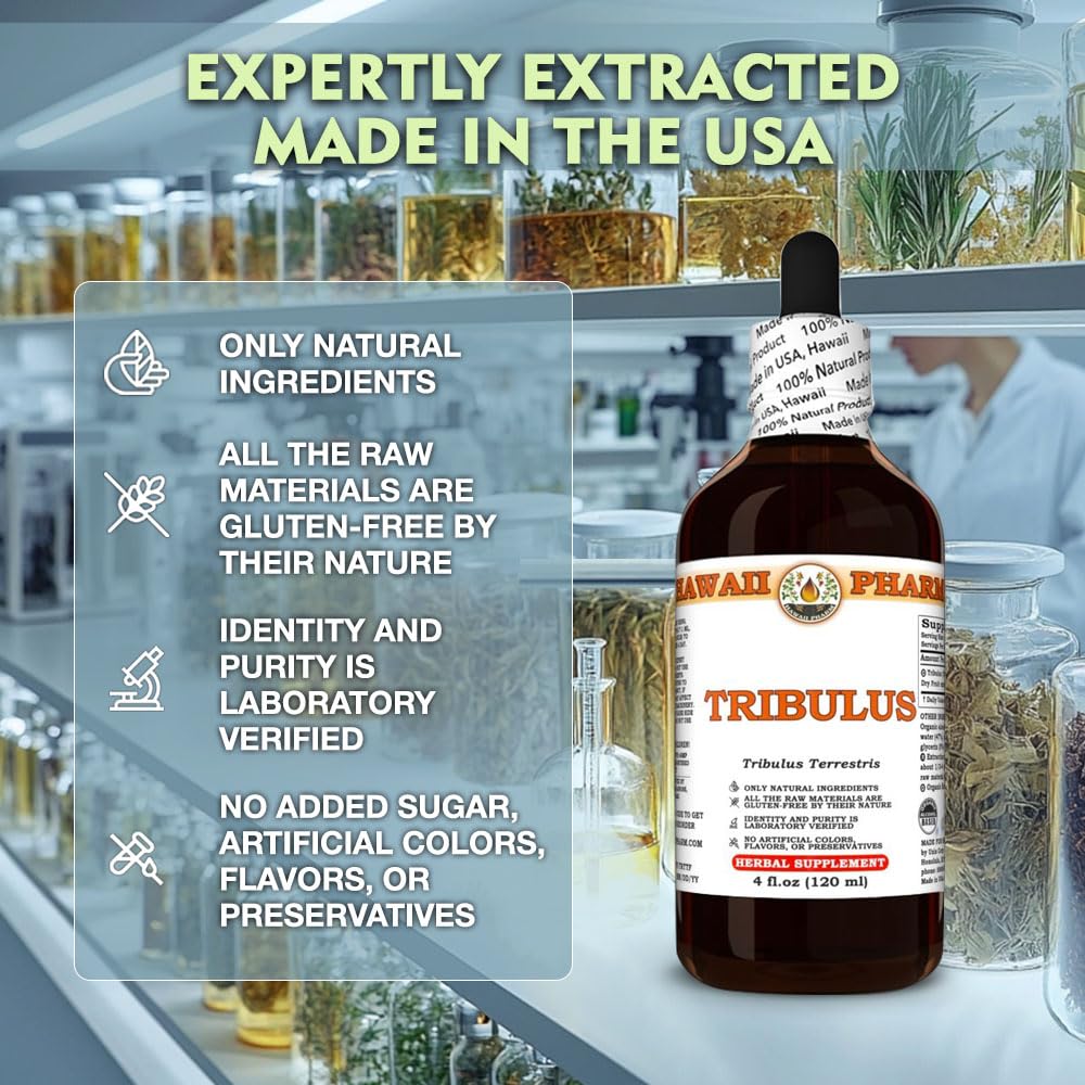tribulus-tribulus-terrestris-dry-fruit-t-4.jpg