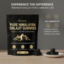 himalayan-natural-shilajit-gummies-shila-2.jpg
