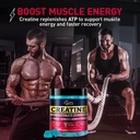 creatine-gummies-for-women-men-blueberry-4.jpg