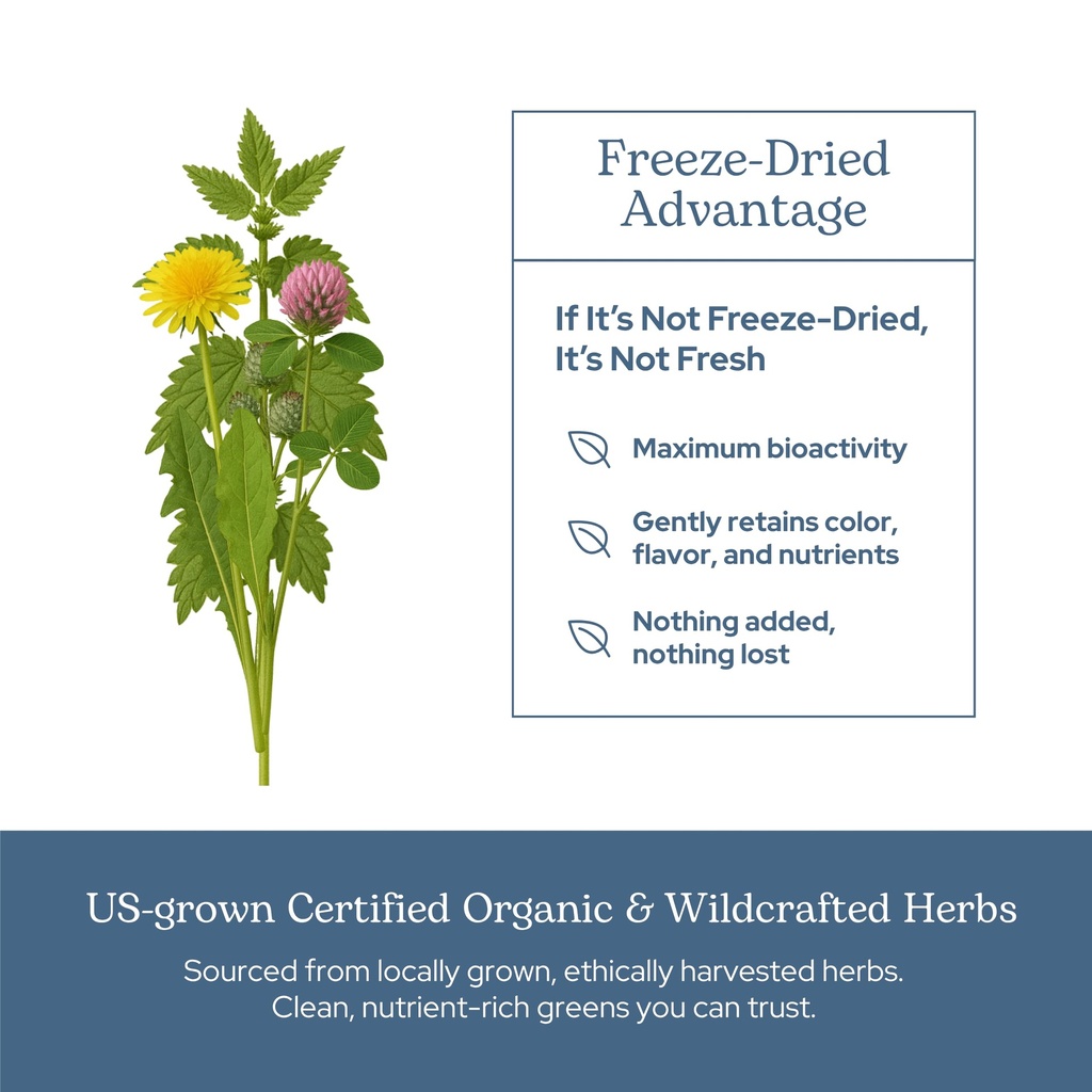 eclectic-herb-lymph-blood-cleanse-lympha-5.jpg