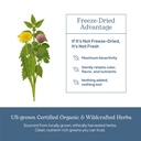 eclectic-herb-lymph-blood-cleanse-lympha-5.jpg