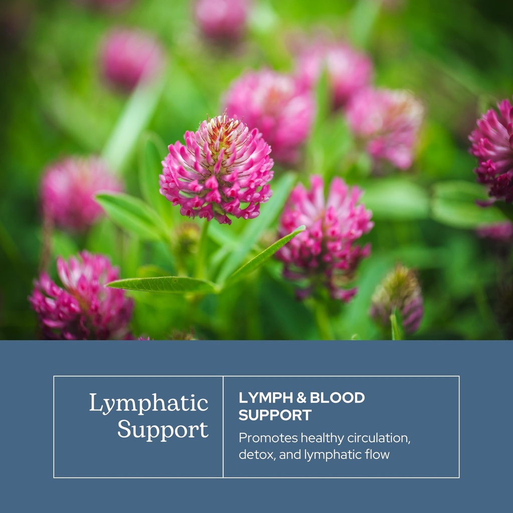 eclectic-herb-lymph-blood-cleanse-lympha-3.jpg