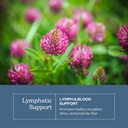 eclectic-herb-lymph-blood-cleanse-lympha-3.jpg