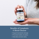 eclectic-herb-lymph-blood-cleanse-lympha-4.jpg