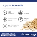 superior-labs-boswellia-serrata-extract--5.jpg