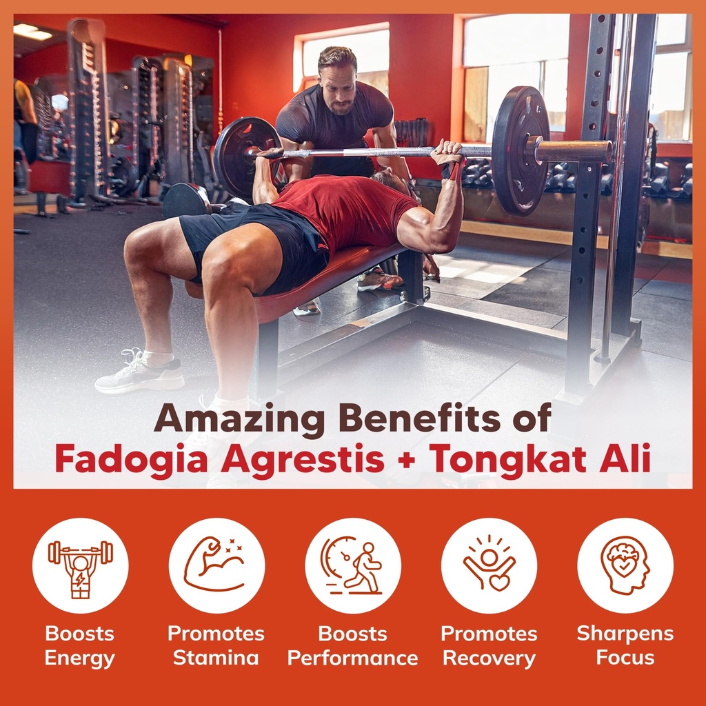 asquared-nutrition-fadogia-agrestis-1000-4.jpg
