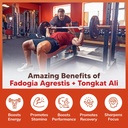 asquared-nutrition-fadogia-agrestis-1000-4.jpg