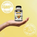 kaya-naturals-digestive-enzymes-with-pre-6.jpg