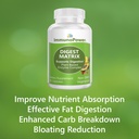 digest-matrix-with-18-all-natural-enzyme-3.jpg