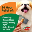 zyrtec-24-hour-allergy-relief-tablets-10-6.jpg