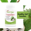 guan-bana-graviola-soursop-super-antioxi-4.jpg