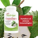 guan-bana-graviola-soursop-super-antioxi-5.jpg