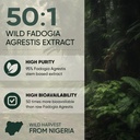 jungle-powders-fadogia-agrestis-extract--4.jpg
