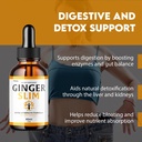 ginger-slim-drops-gingerslim-droppers-su-6.jpg