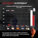 remory-plasmalogen-sea-squirt-supplement-5.jpg