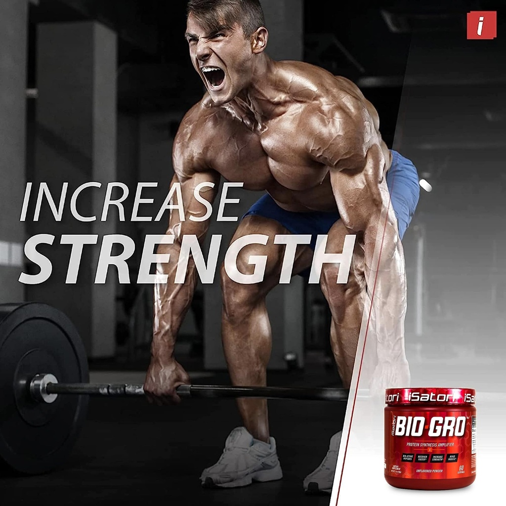 pmd-sports-amplify-xl-premium-whey-prote-5.jpg