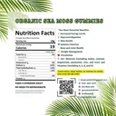 tropical-tides-gummies-vegan-with-wildcr-2.jpg