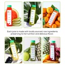 3-day-juice-cleanse-by-raw-fountain-trop-2.jpg