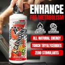 l-carnitine-stimulant-free-enhances-ener-4.jpg