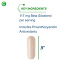 nutra-biogenesis-sterol-117-plant-sterol-3.jpg