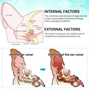 ear-mite-treatment-for-dogs-and-cats-ear-2.jpg