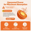 liposomal-turmeric-ginger-curcumin-compl-6.jpg