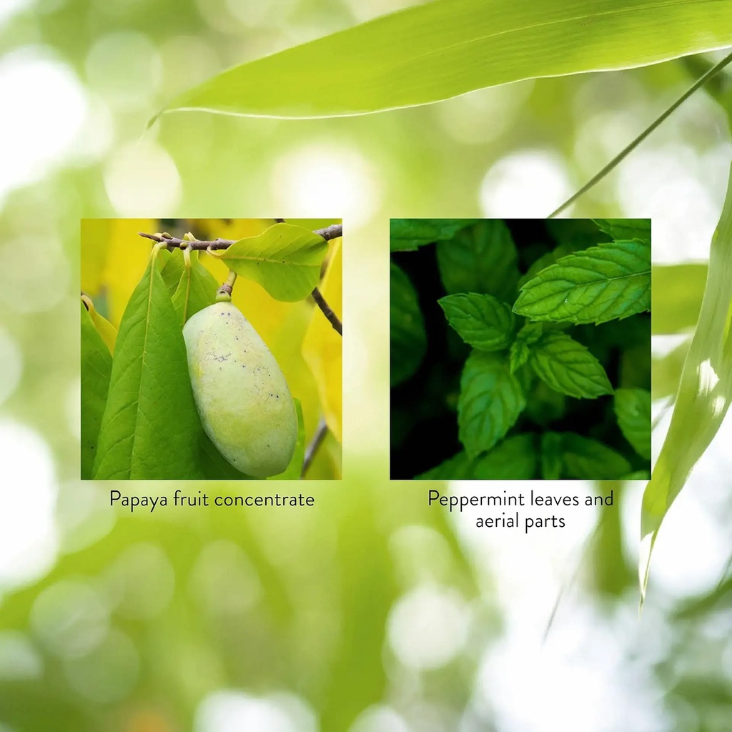 nature-s-sunshine-papaya-mint-chewable-t-4.jpg